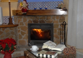  Fireplace and books 