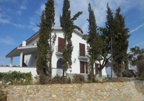  Trees surrounding the rural house 