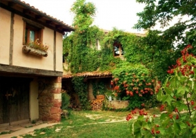 Outside area with abundant vegetation and rear facade 