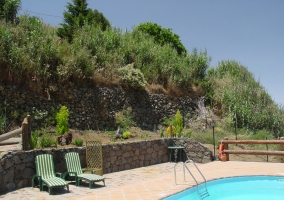 Kidney shaped pool with hammocks 