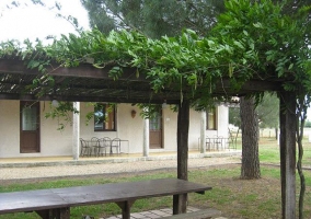  garden of the farmhouse 