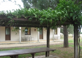  exterior courtyard 