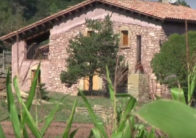  Access to the house between nature 