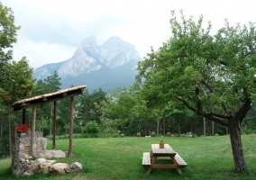  Entrance and field views 