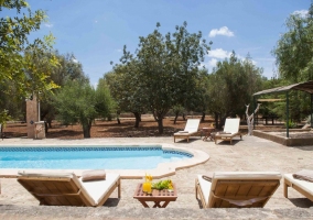  View of the pool from sun loungers 