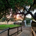 Andres in your stay in Casa rural El Tejar 2663_1