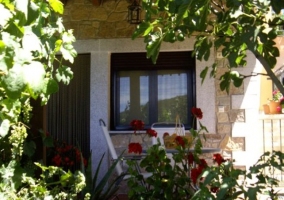 Vegetation next to the house 