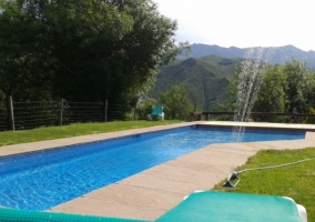 Access to the pool with hammocks 