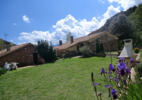 Rural houses 