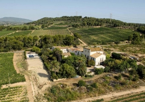 View of the farmhouse 