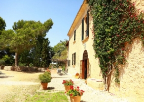 Access to accommodation with colorful flower pots 