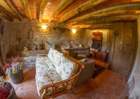  Living room with armchairs and plants 