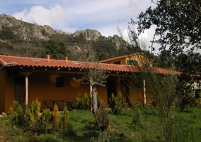 Access and facade of the house 