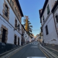1_D0239B6D-A5E9-44F2-A065-F5DE34FEA5A2.jpeg