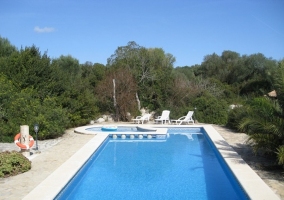  Swimming pool and grove 