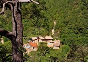  Aerial view of the house 